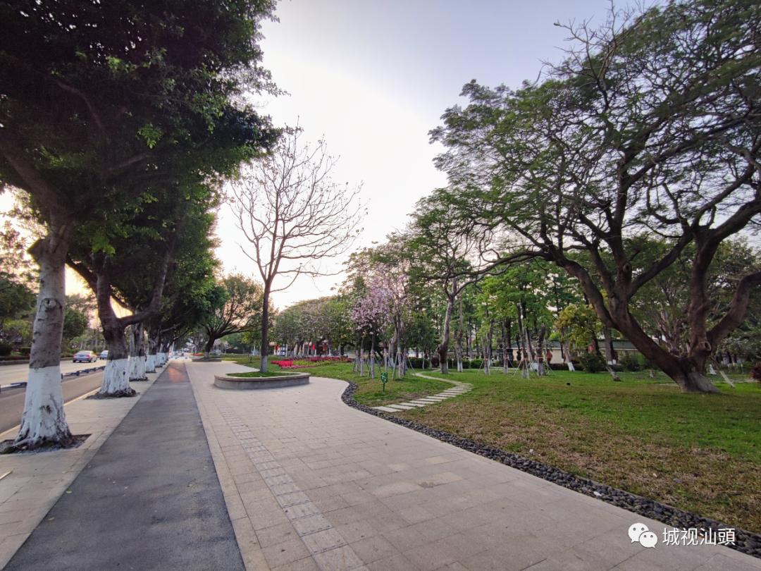 汕头金砂东路品质提升改造,汕头金砂东路改造规划图