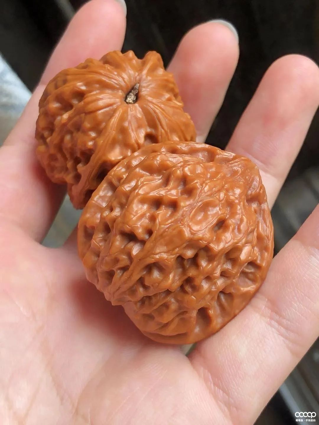 有毒！又一位宝藏小姐姐，玩核桃最爱“马虎”，朋友眼里是奇葩