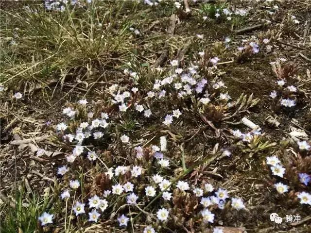 云南腾冲景区图片,云南腾冲山清水秀好风光