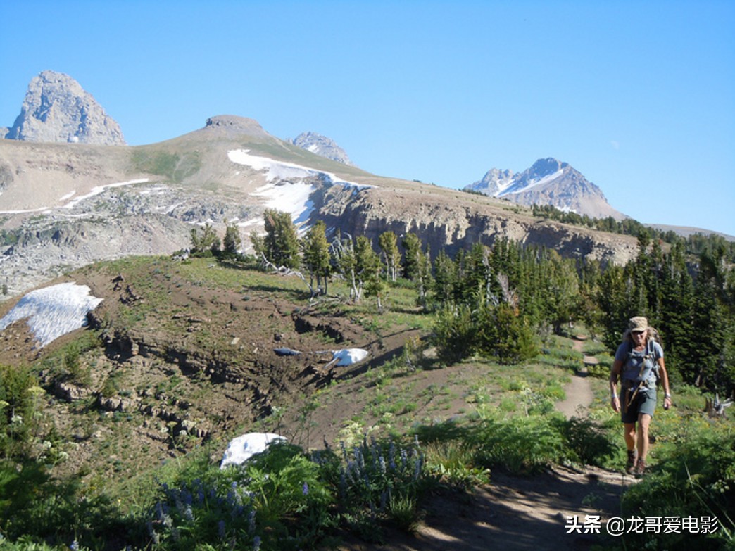 哈里森福特演了几部星球大战,哈里森福特好看吗