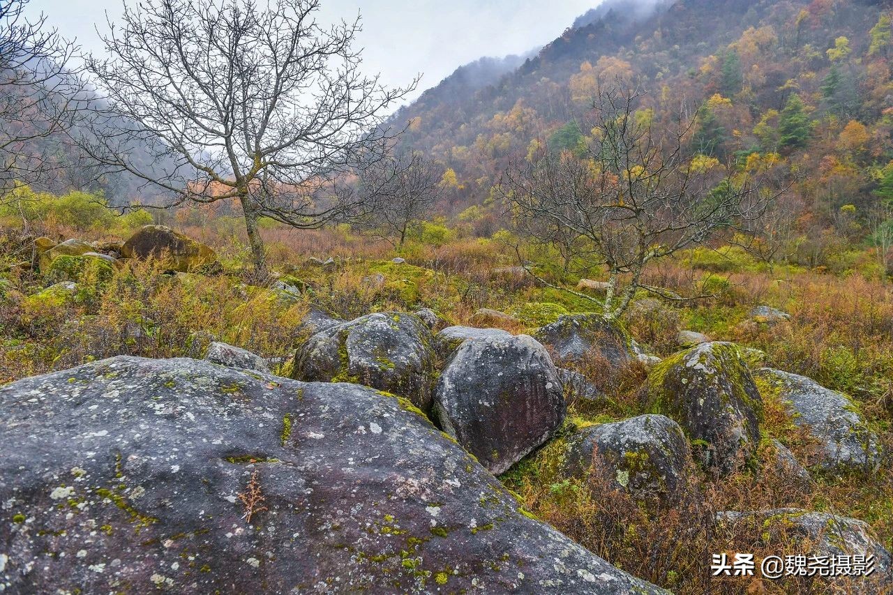 留坝秦岭之夜,留坝秦岭森林公园