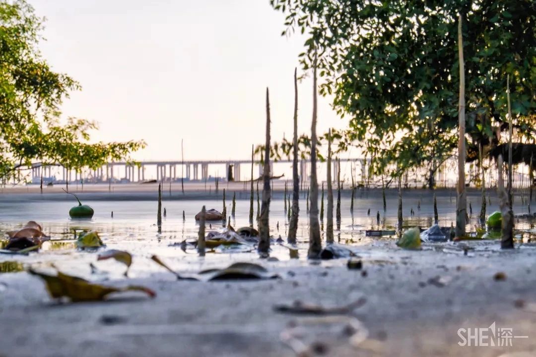 天下最美湖泊西湖,比西湖更美的湖泊