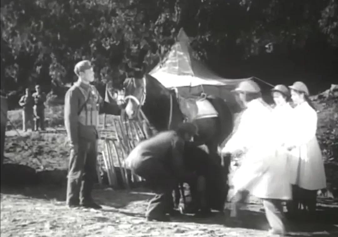 从不如牛马到翻身做主,*藏西**农奴是如何得到解放的?