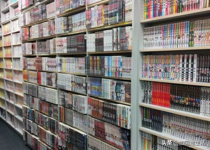 多伦多图书馆清仓特卖啦!1万册图书每本$0.5起(华人淘书指南)