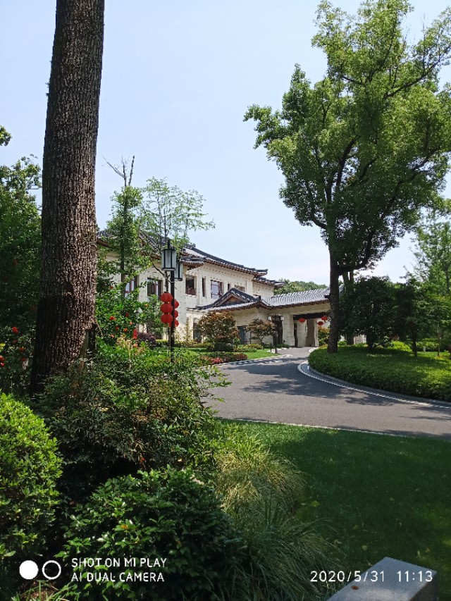 芒种种出新希望,芒种和幸福播种