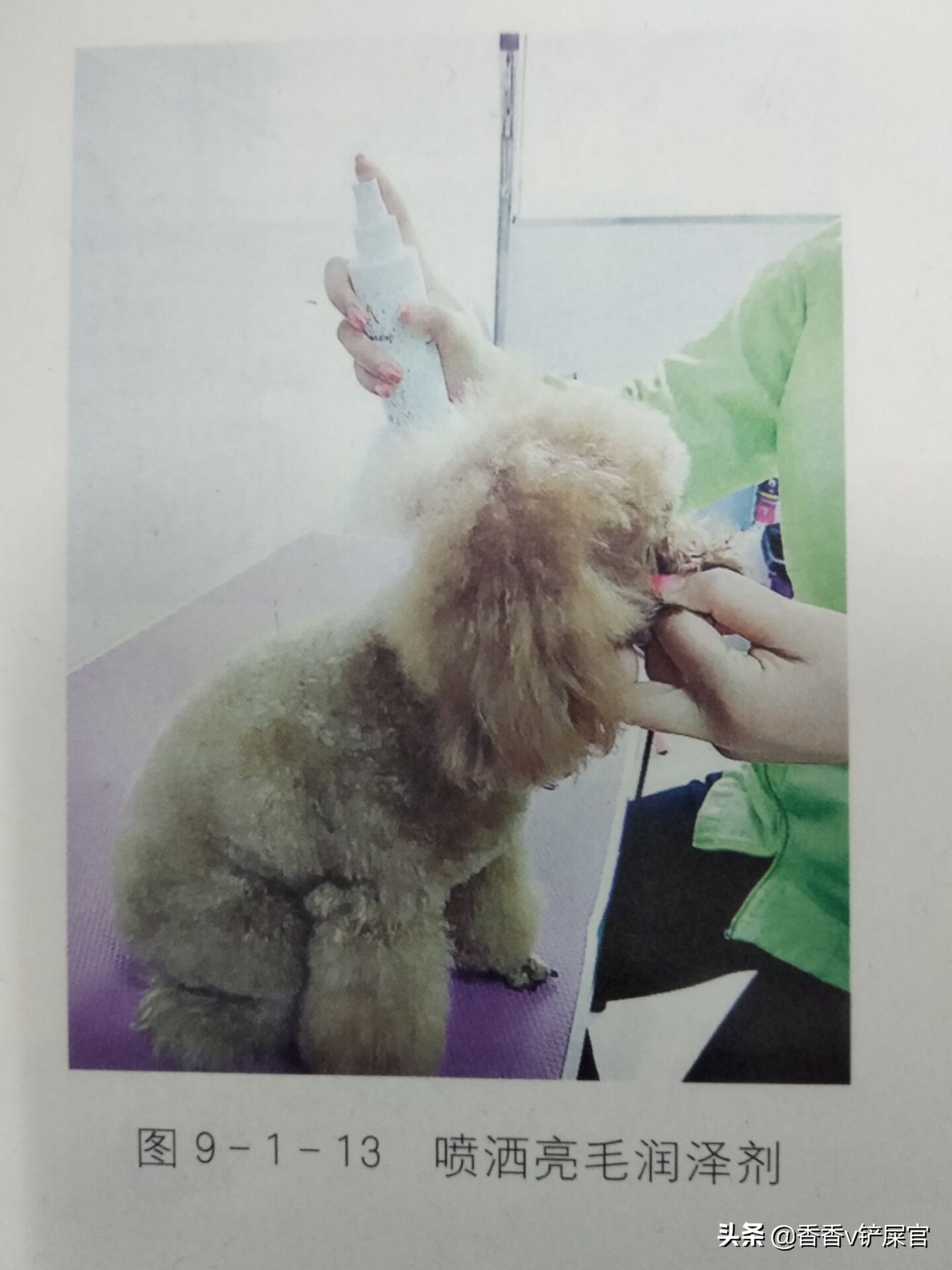 怎么给宠物做spa药浴,宠物spa需要准备什么