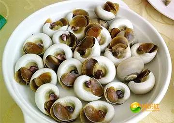 舟山海鲜代加工攻略,最全舟山海鲜攻略