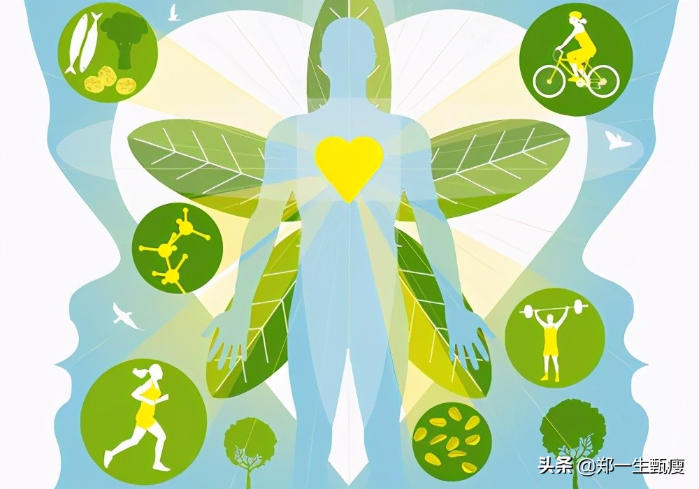 减肥怎么算基础代谢率,基础代谢减肥法一个月会瘦几斤