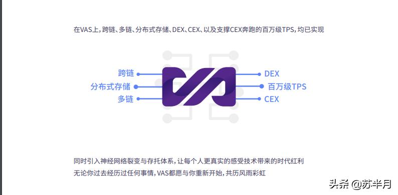 一起来吐槽：来自暗网的公链项目VAS，竟然内含十级分销？