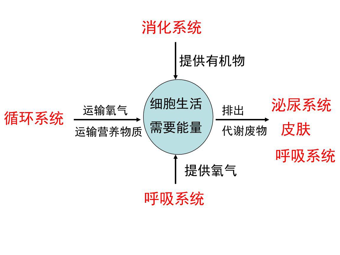 黑色痘印怎么能彻底消除,黑色痘印怎么消除小妙招视频