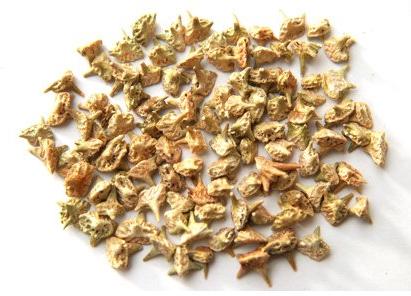 燥湿解表的中药有哪些,滋阴清热利湿中药