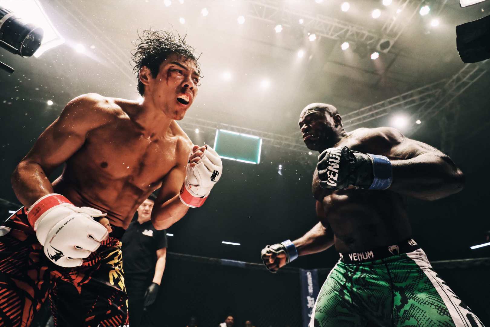 向佐一身肌肉怎么锻炼的,向佐健身练腰