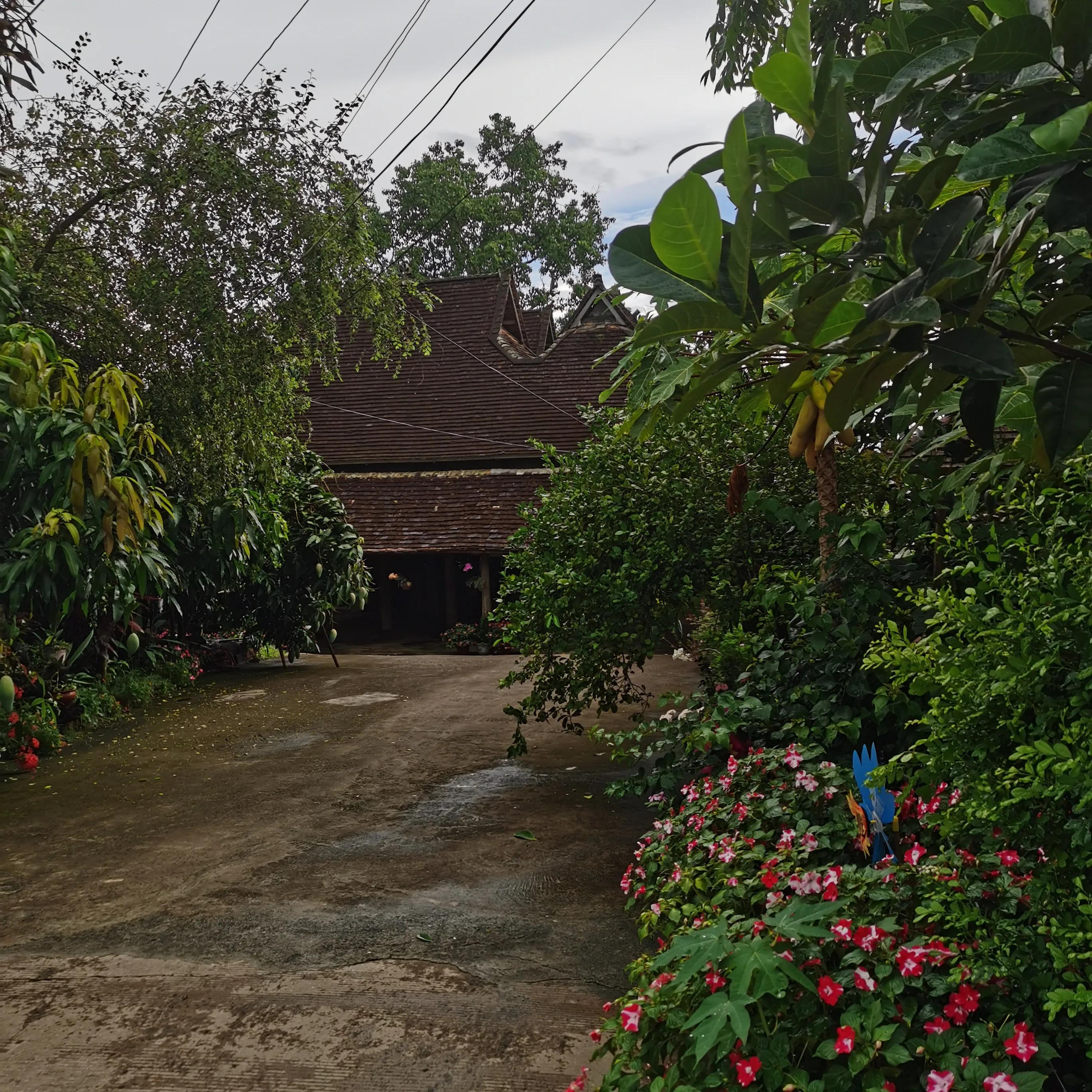 西双版纳曼远村游,西双版纳自由行一天攻略傣族园