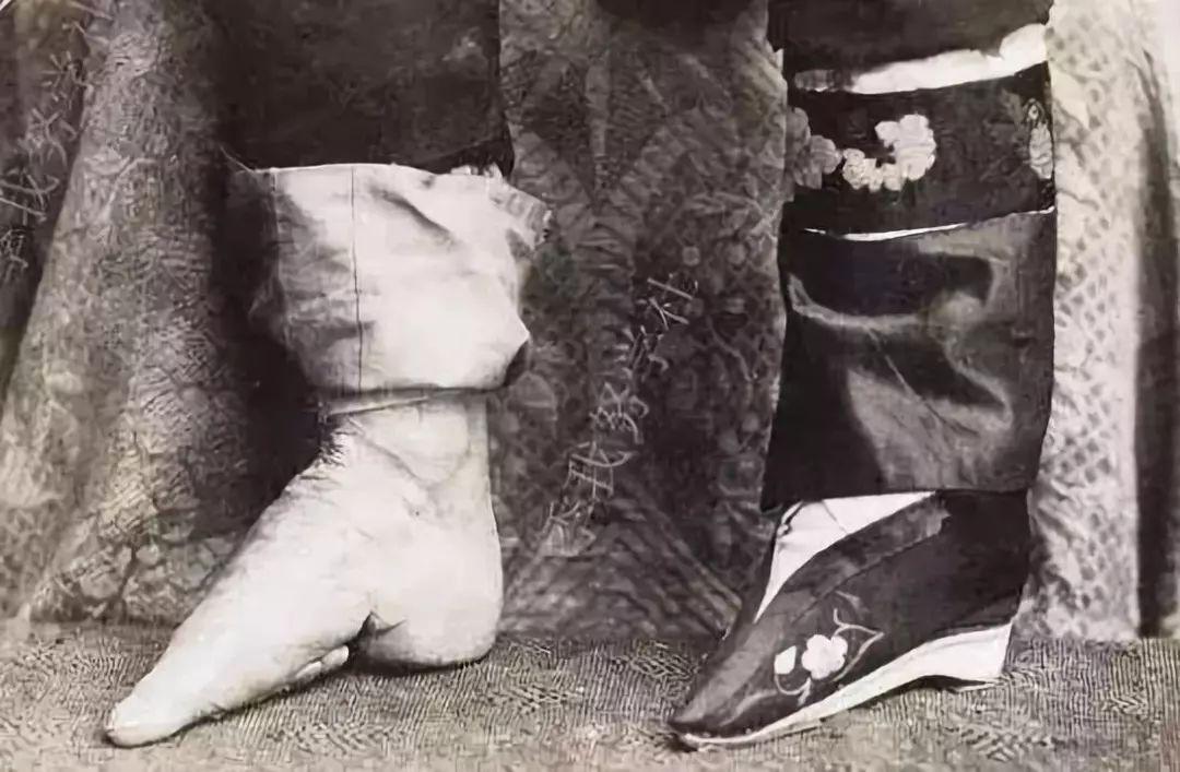 从辜鸿铭身上学到了什么,从苏东坡的坎坷经历得到什么启示