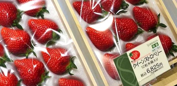 日本便宜又好玩的东西,日本便宜又实惠的东西