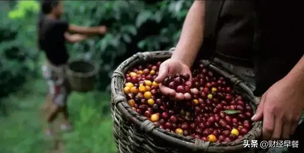 拼多多为什么还亏损,为什么拼多多净亏损那么多