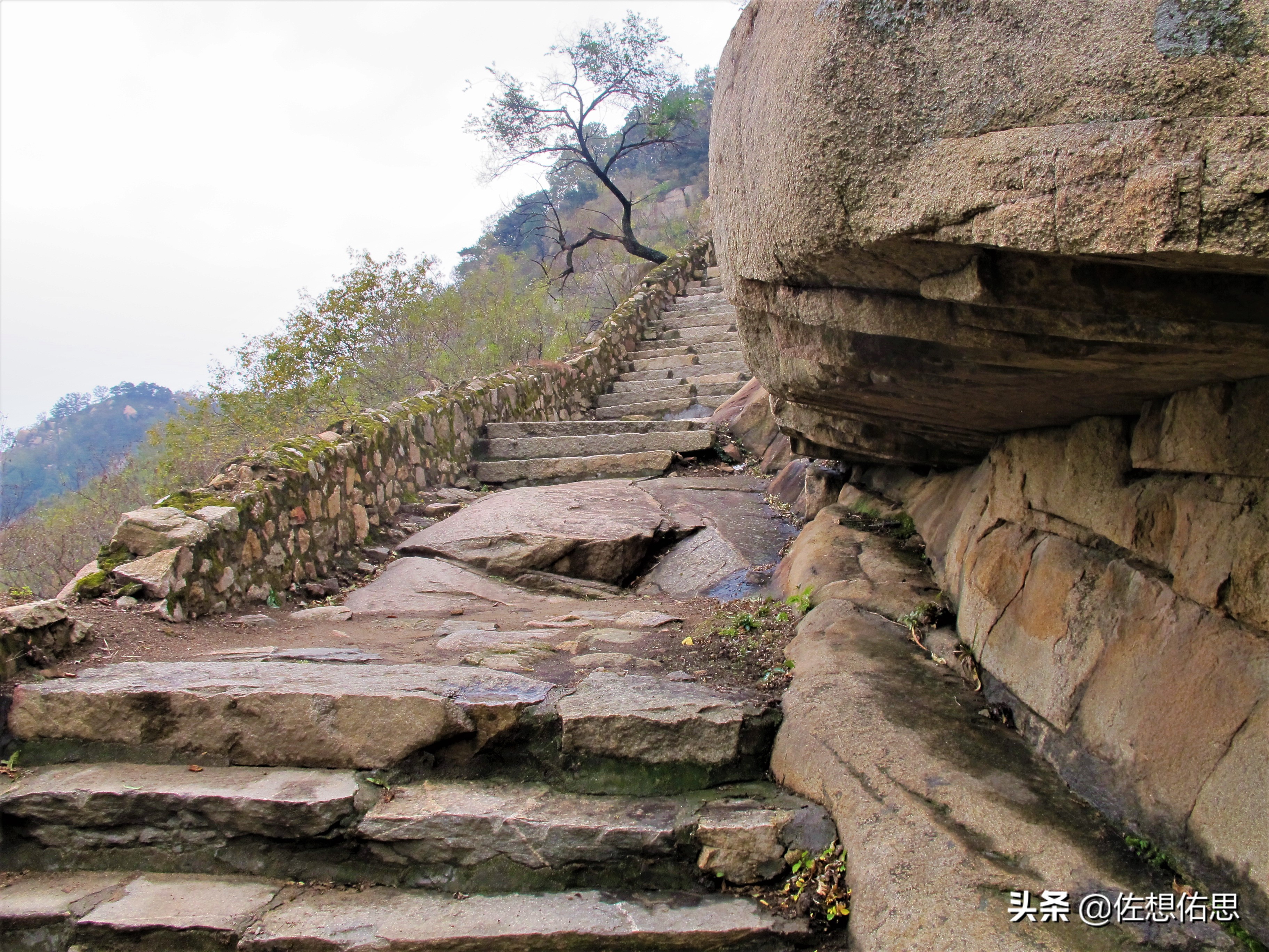 扇子崖优惠,泰安扇子崖免门票吗