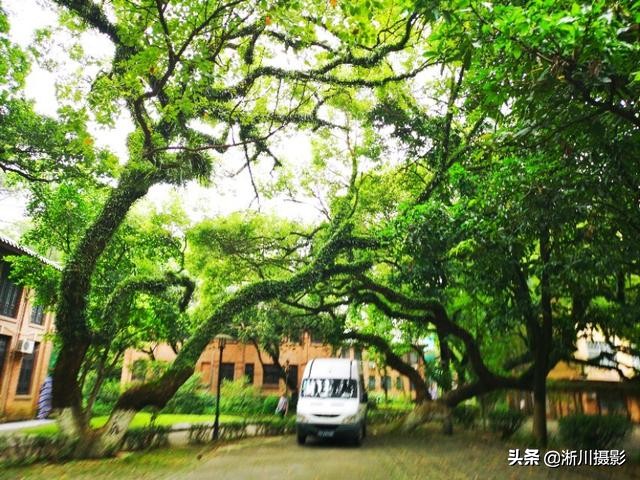 中国最美丽的校园照片,中国最美丽的校园中山大学南校区