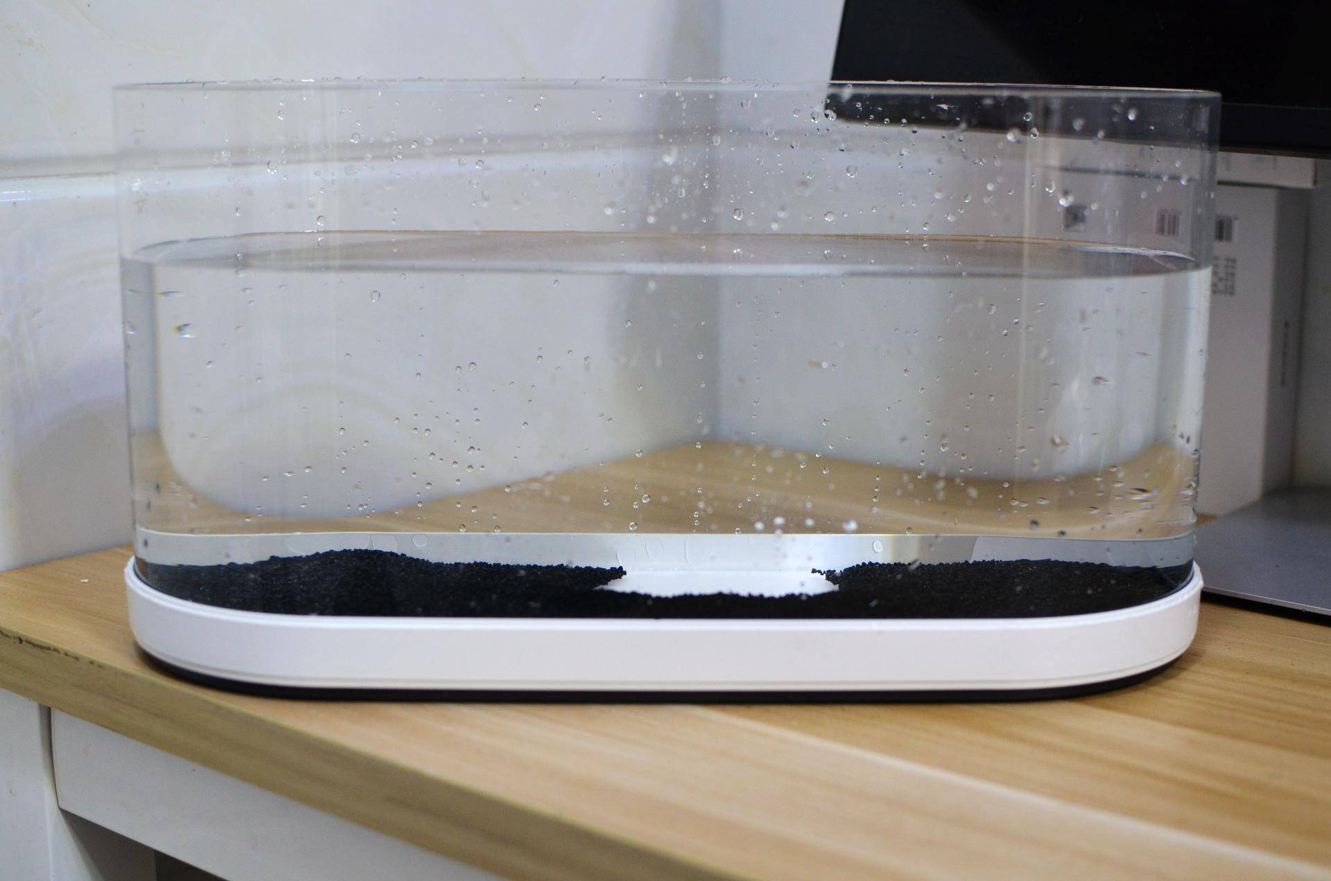 小米生态鱼缸养巴卡雷龙,小米生态缸养鱼入门基础教程