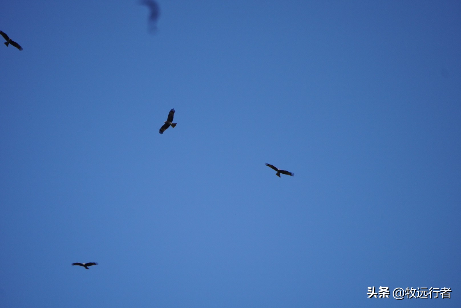 新安江和千岛湖哪个是上游,新安江水库和千岛湖是什么关系