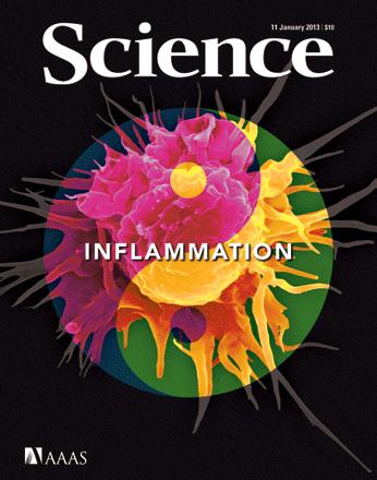 深度解读肺炎黏液|对于新冠肺炎的治疗的一些参考意见