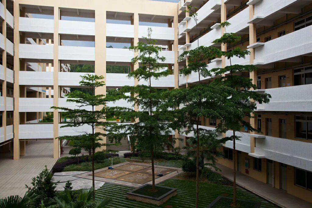 东莞东华高考状元第一名,广东东莞状元郎