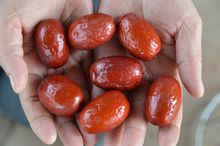 新疆红枣怎么选择,买红枣新疆