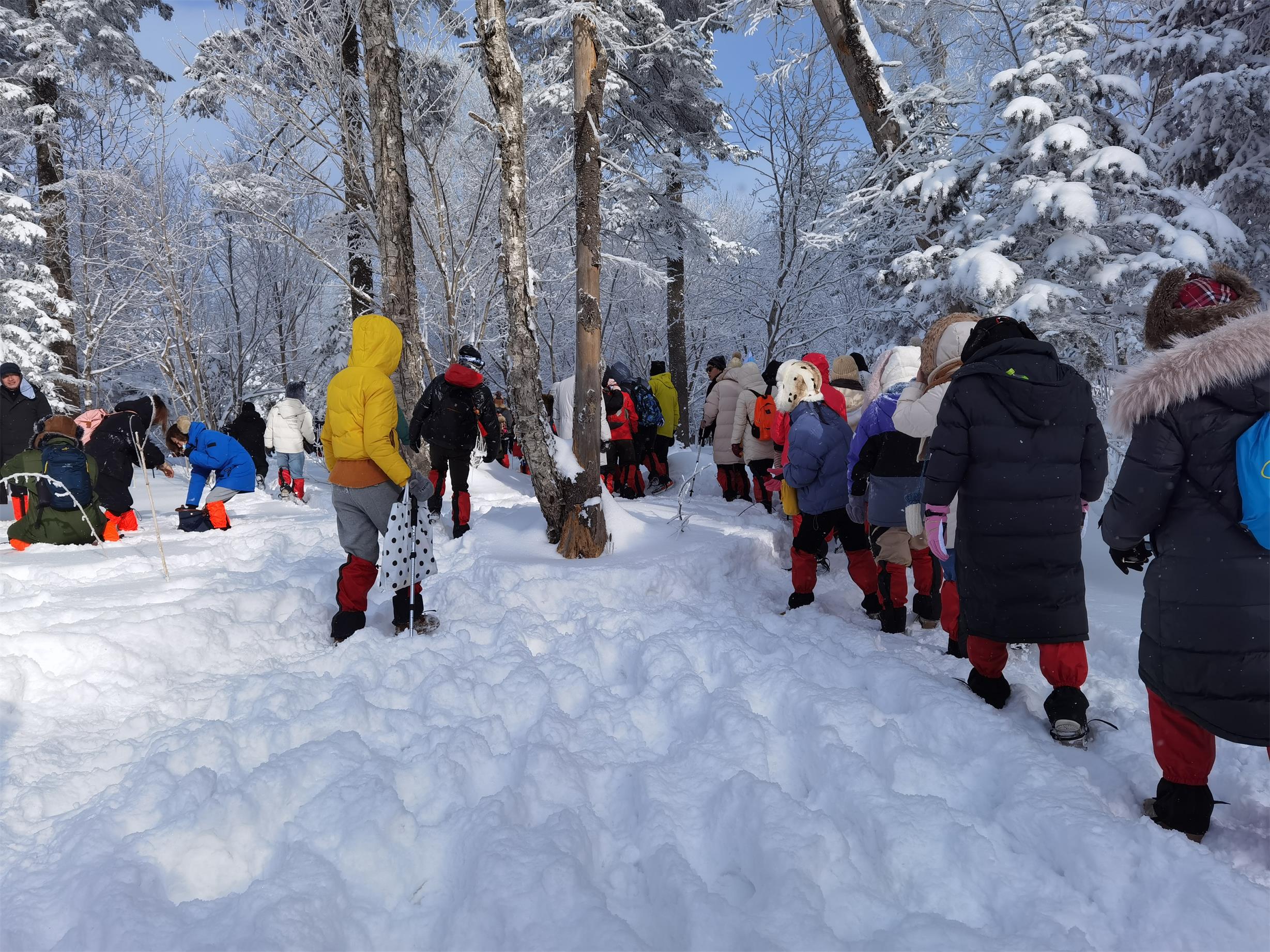 东北旅游人均1500,东北人旅游全攻略