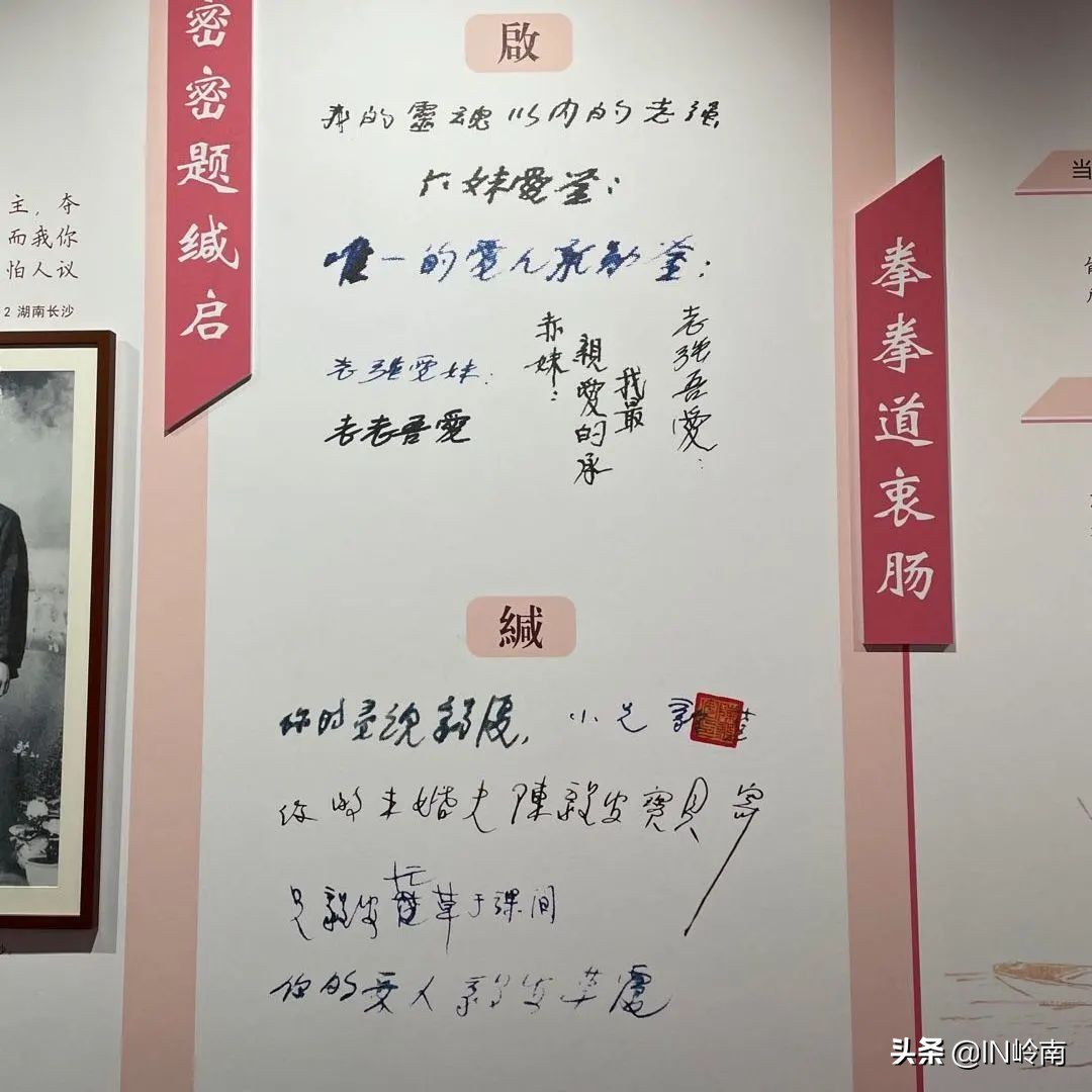 童心向党探寻红色革命密码,童心向党红色回忆