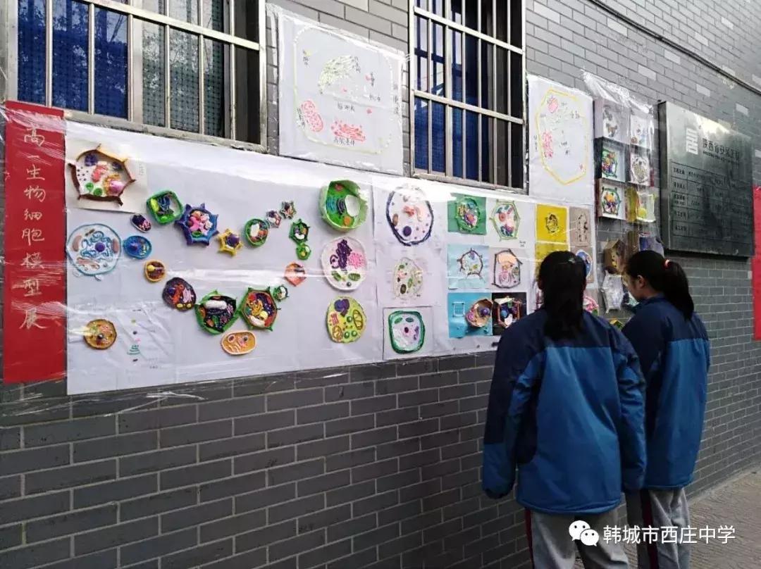 瑗垮簞涓杈夌厡,瑗垮簞涓鐧惧勾鏍″簡鍥剧墖