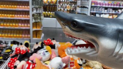 1000㎡的天堂，20000+潮流好物，沈阳这家店也太好逛了吧