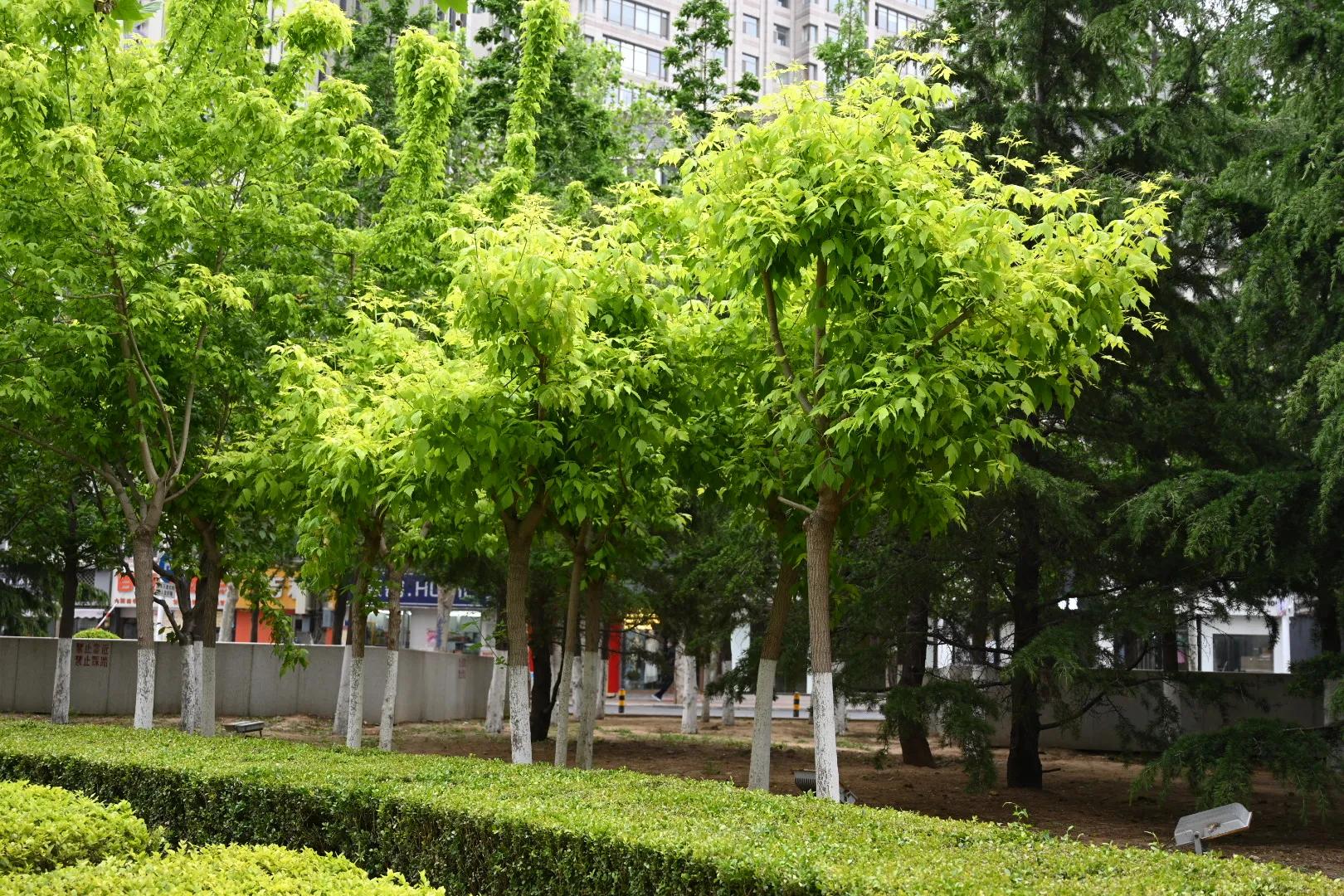 规划未来走好当下,走好当下未来可期