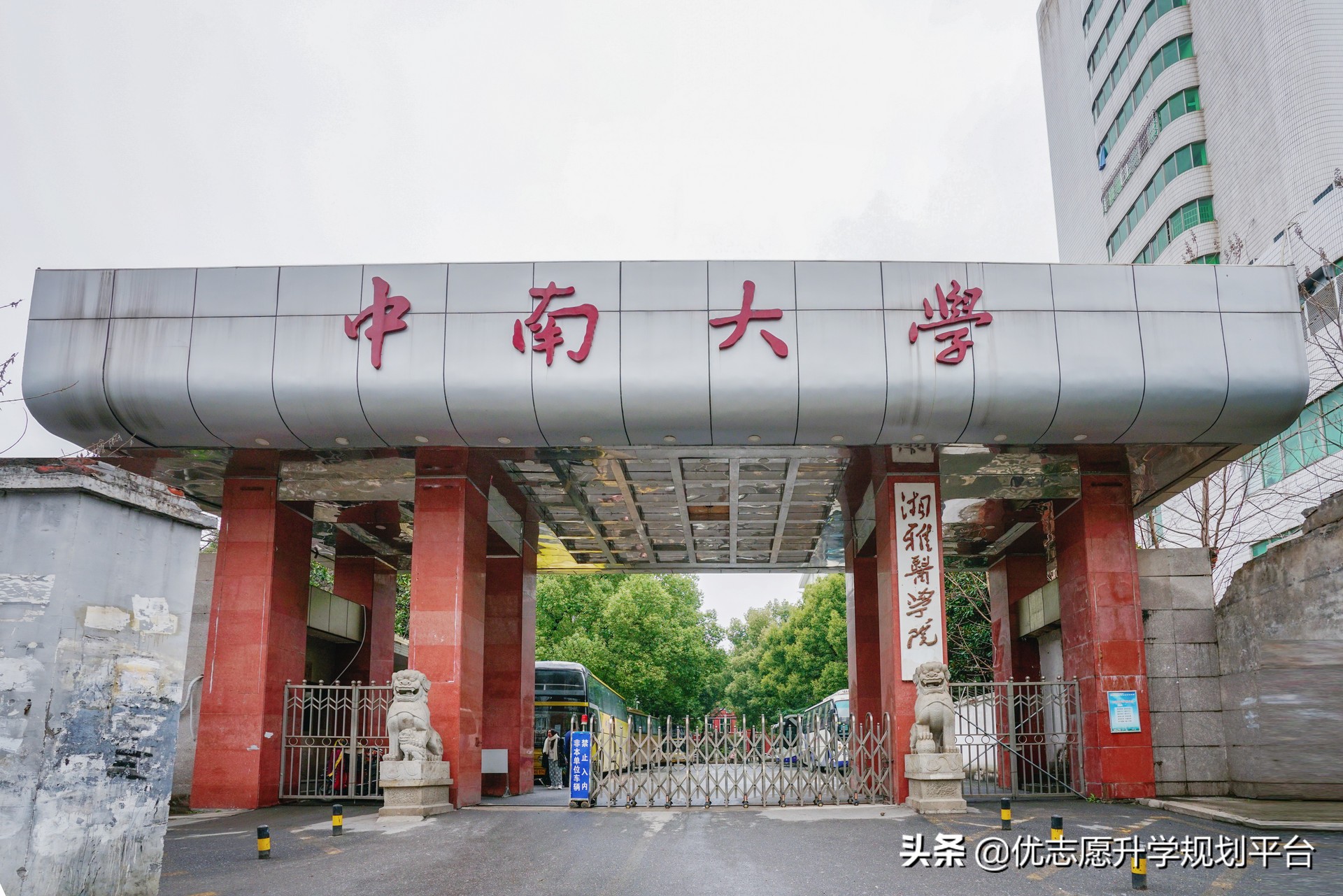 为何北大医学部录取分数比北大其他专业低,而中南大学却相反?