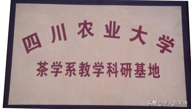 邛崃绿色产业园,邛崃碧涛茶厂