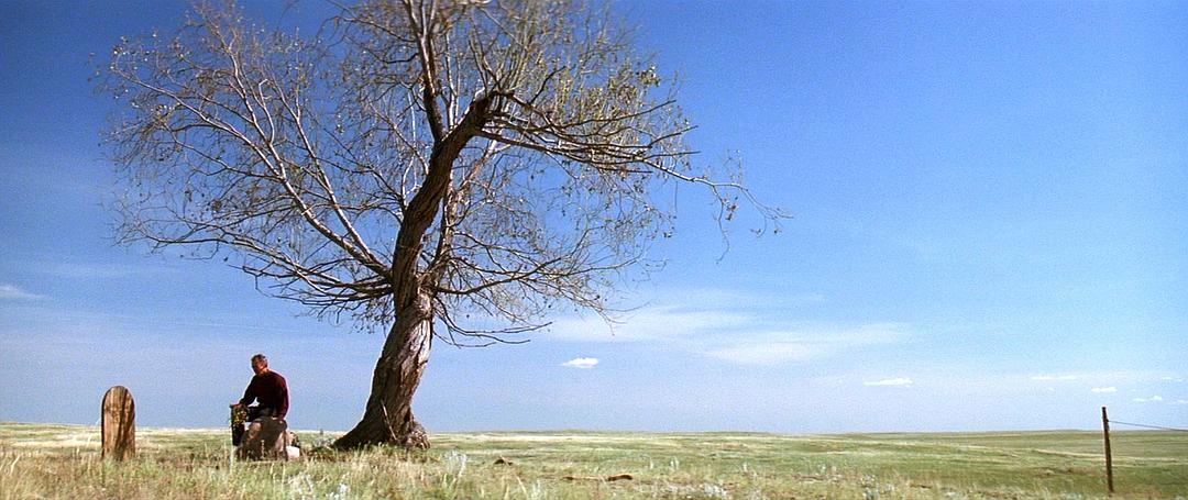 他有5座奥斯卡奖杯，新作票房却只有几百万