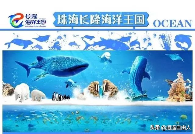 珠海长隆万圣节2022门票,珠海长隆万圣节夜场套票