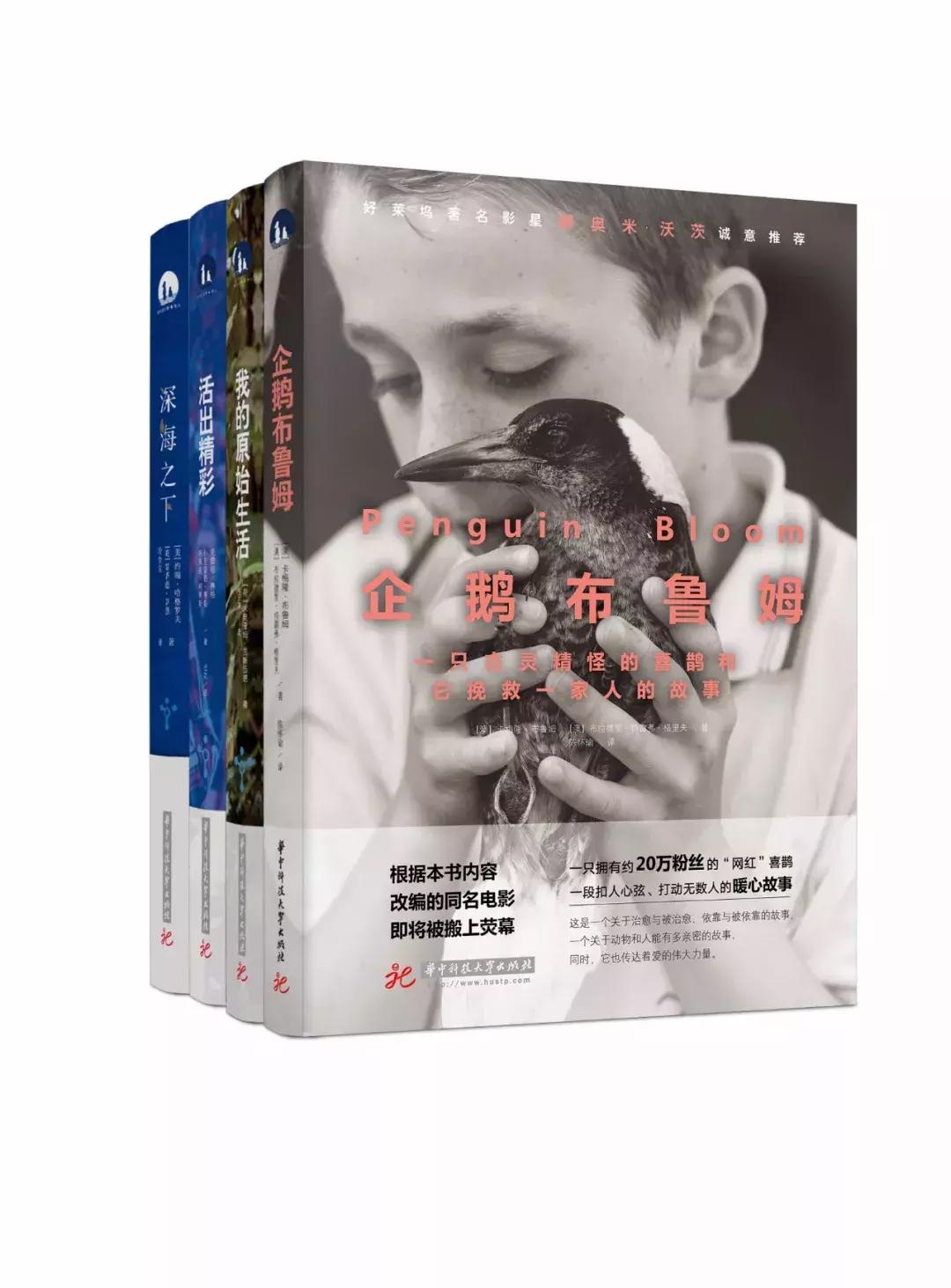 高大上的机构,股票推荐的套路是什么呢