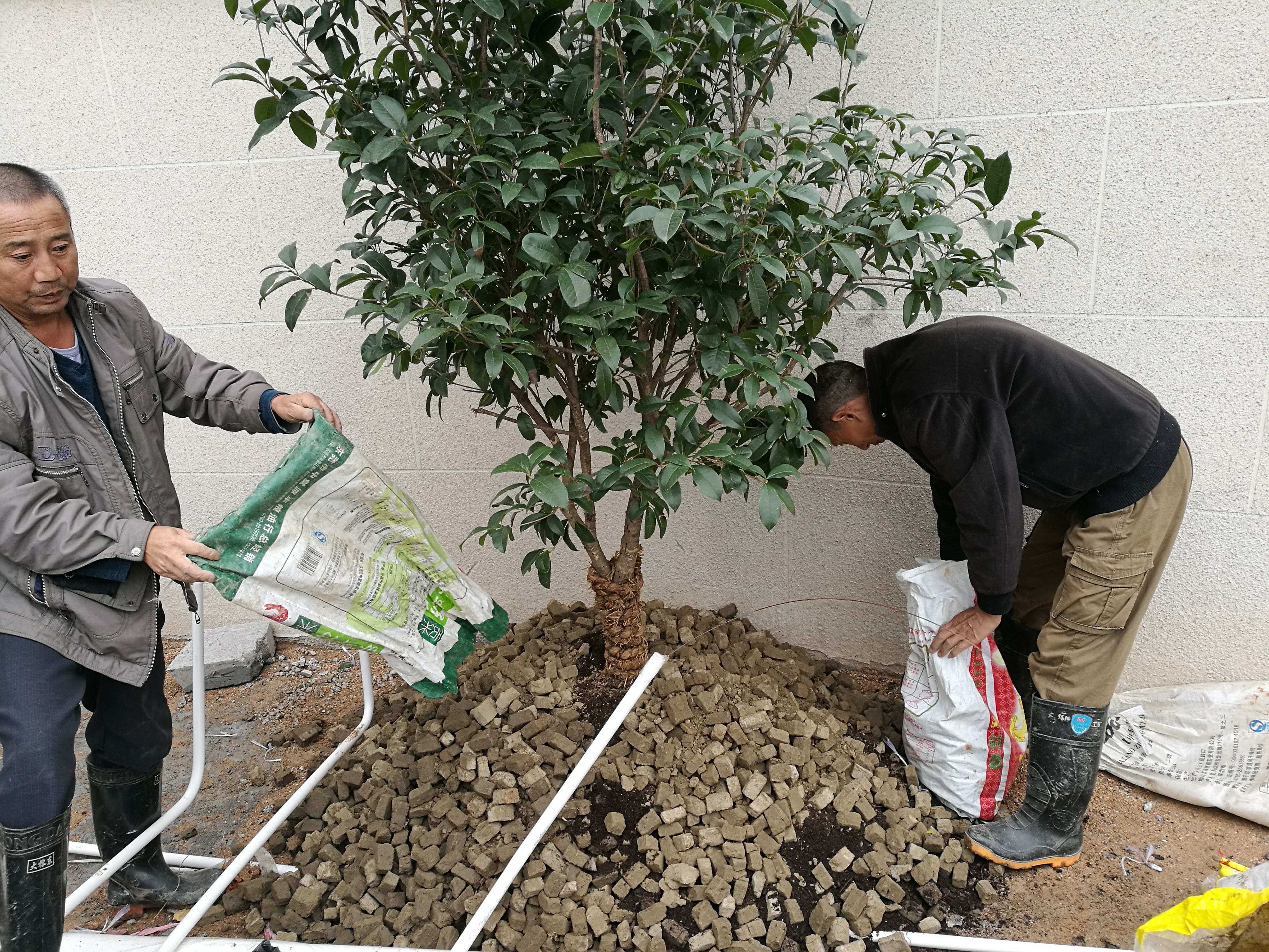 庭院造价明细表,庭院景观预算造价怎么算