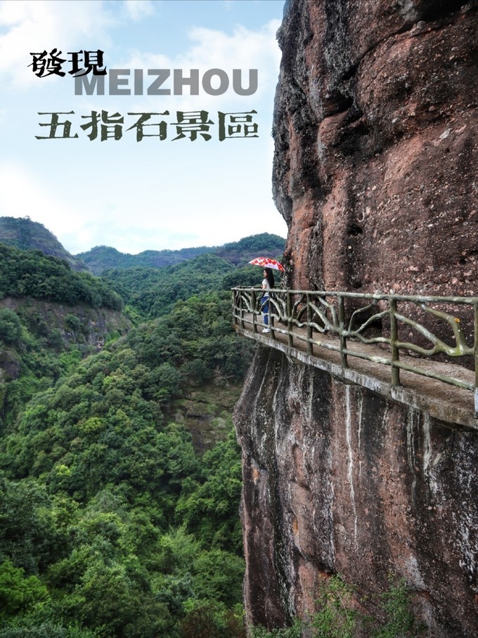 梅州采茶,梅州采茶体验