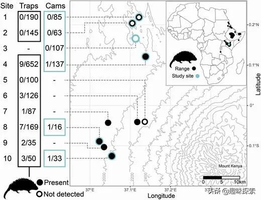 将剧毒涂在身上，不怀好意的野狗全被毒死，唯一善用毒的啮齿动物