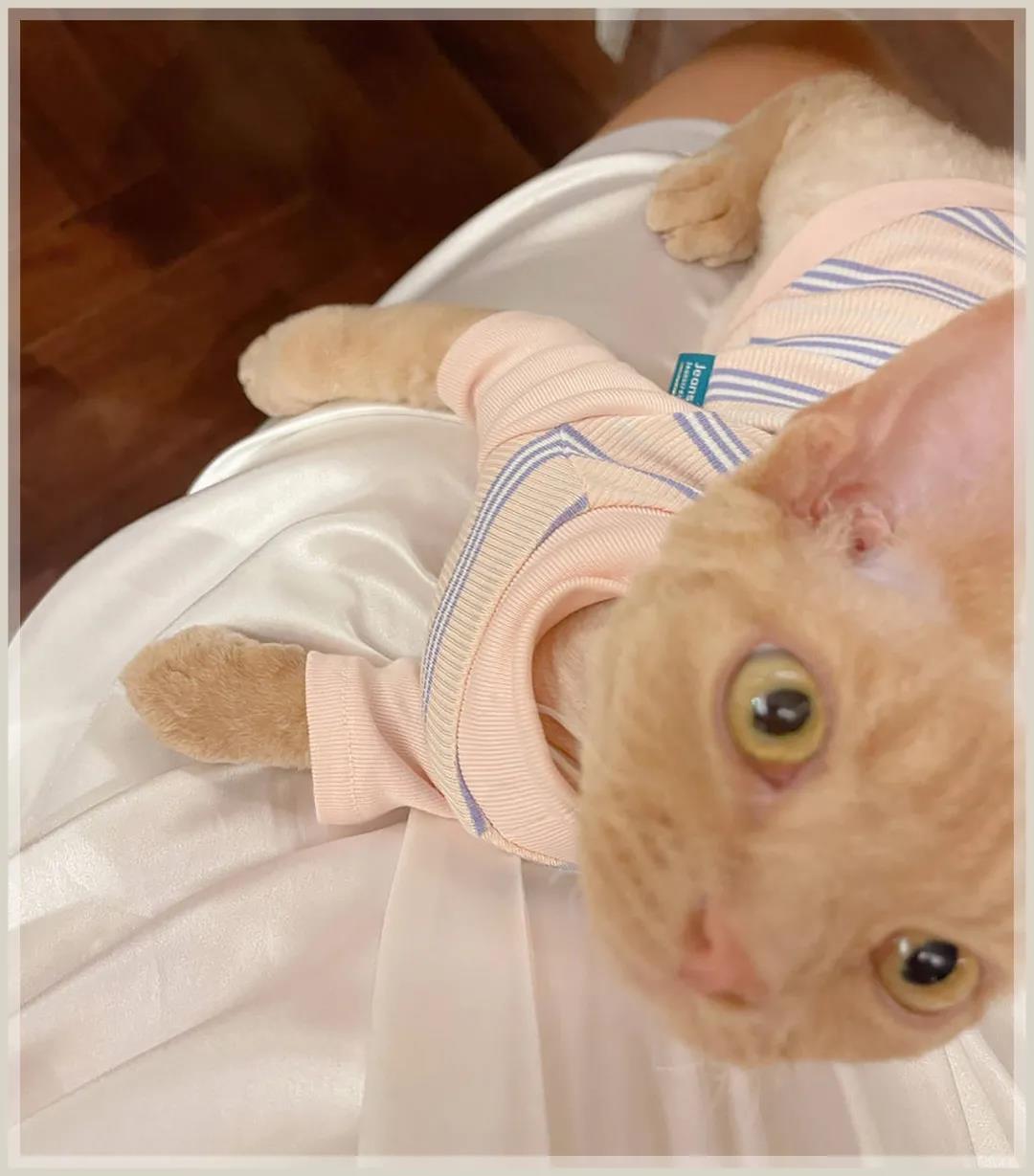 私藏的5款小众香水清爽又迷人,我最喜欢的几款香水