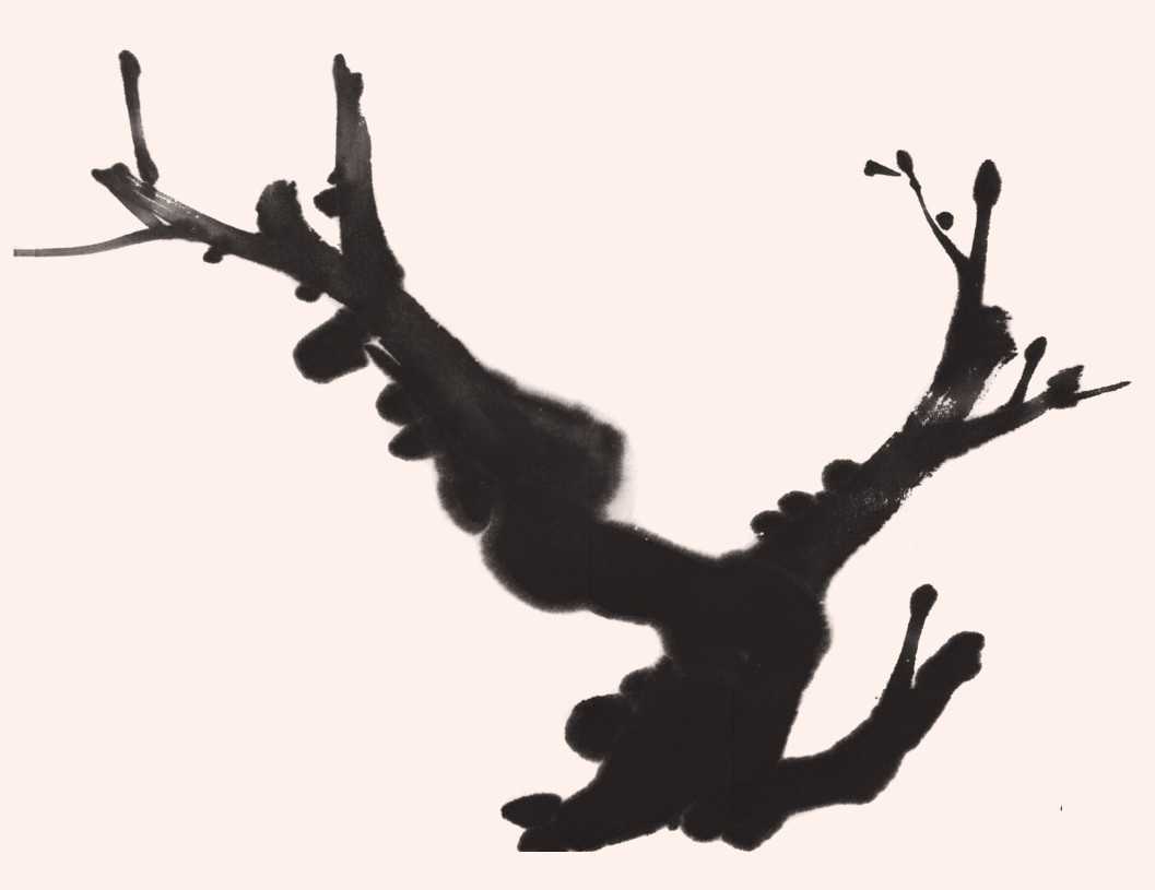 国画梅花花树的画法简单视频,写意花鸟画梅花的画法视频
