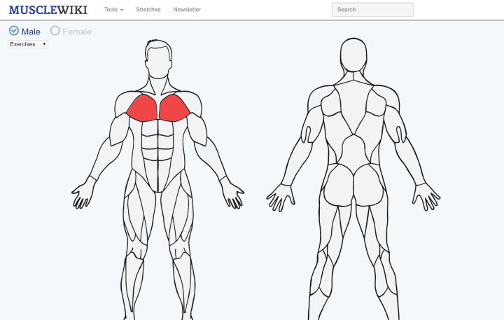 国外哪些网站好玩,国外值得逛的网站