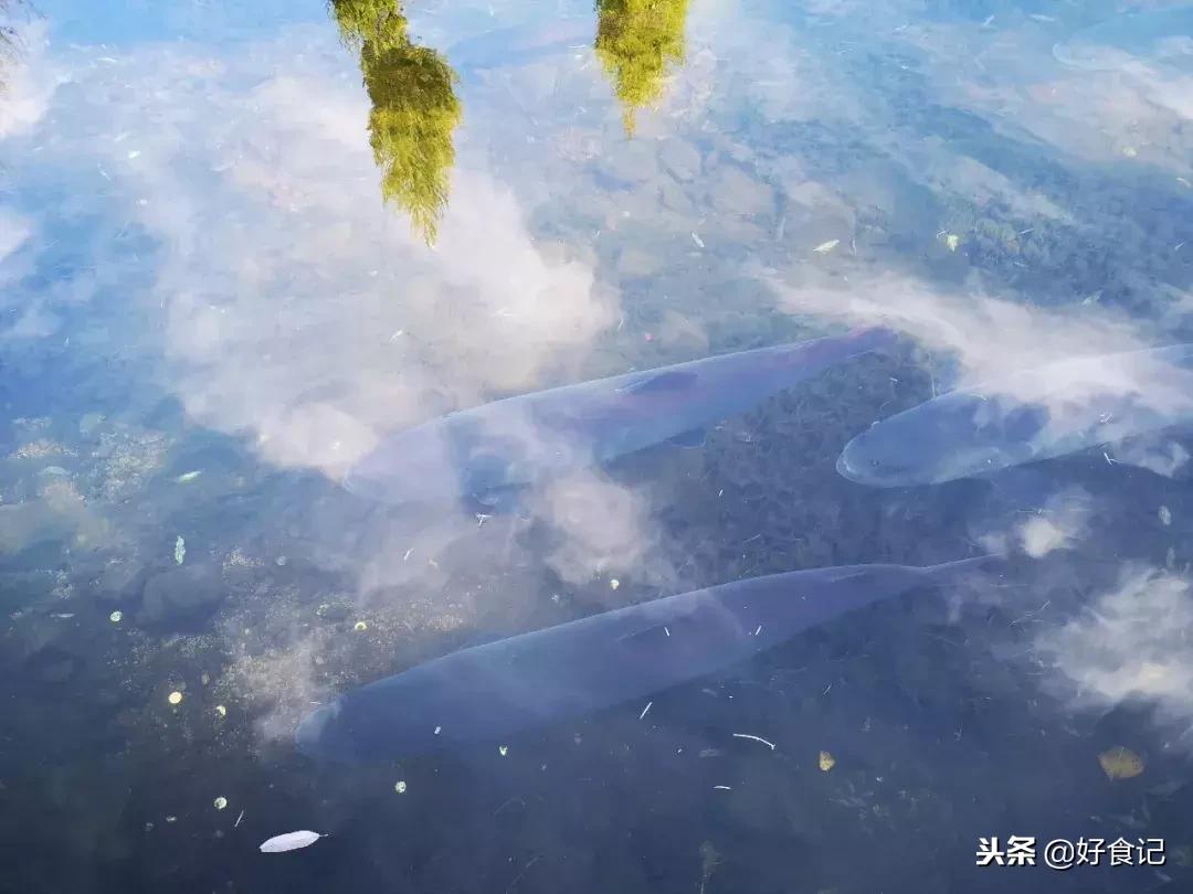 在延边呆了五天期间吃过的美食,至今想来,仍口水生津