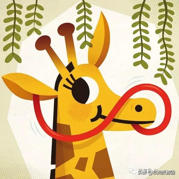 世界的全部动物,全世界的动物都有什么共同点