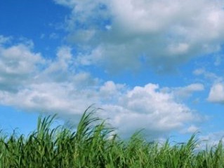 不甘寂寞的二胡,不甘寂寞的哥