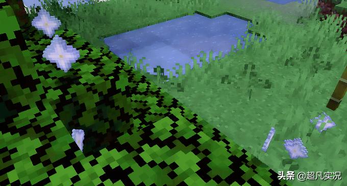 红石大神全部视频,红石大神对战