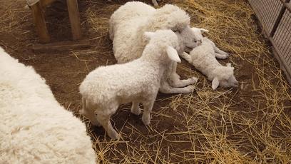 逛skp要花多少钱,第一次逛北京skp