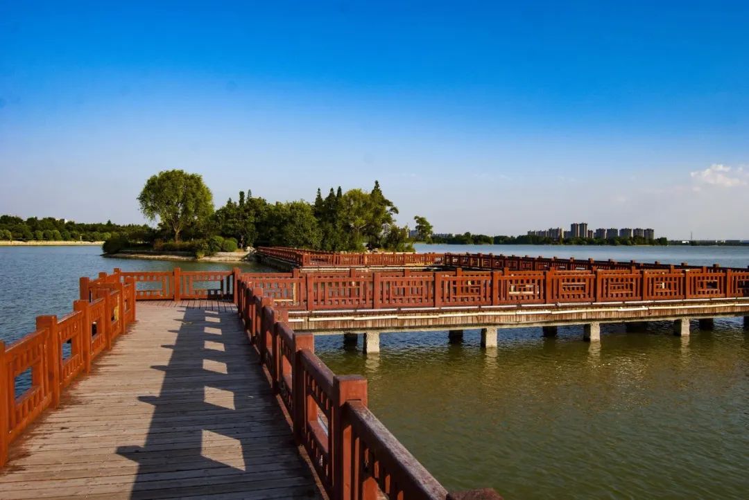 徐州新城区撷秀中学摇号的条件,2021撷秀中学新城区摇号名单