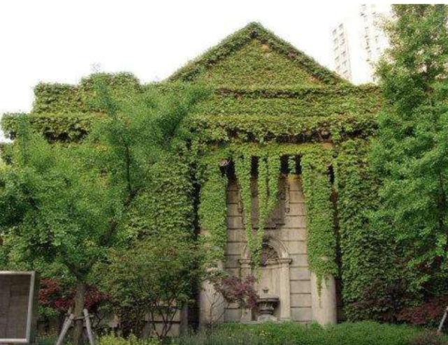 西摩会堂旧址,西摩会堂在哪里